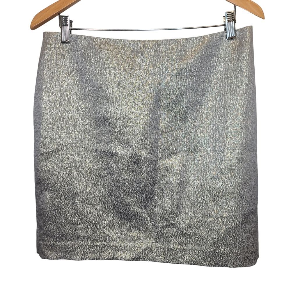 NWT Ann Taylor Womens Metallic Shimmery Silk Cotton Blend Skirt Sz 10